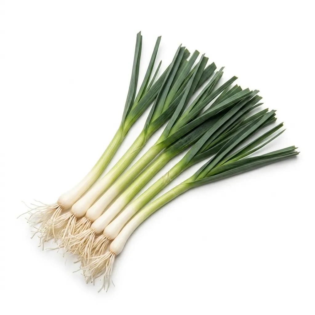 Baby Leeks 🇳🇱