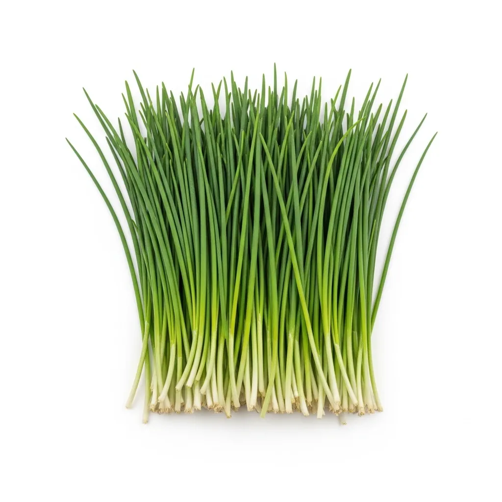Chives Bunch 🇳🇱