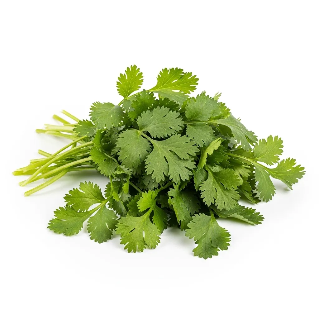 Fresh and fragrant Coriander from Oman. Harvested from neighboring fields to ensure maximum aroma and freshness for your chutneys and garnishes. Buy fresh Omani herbs online for fast delivery across the UAE.