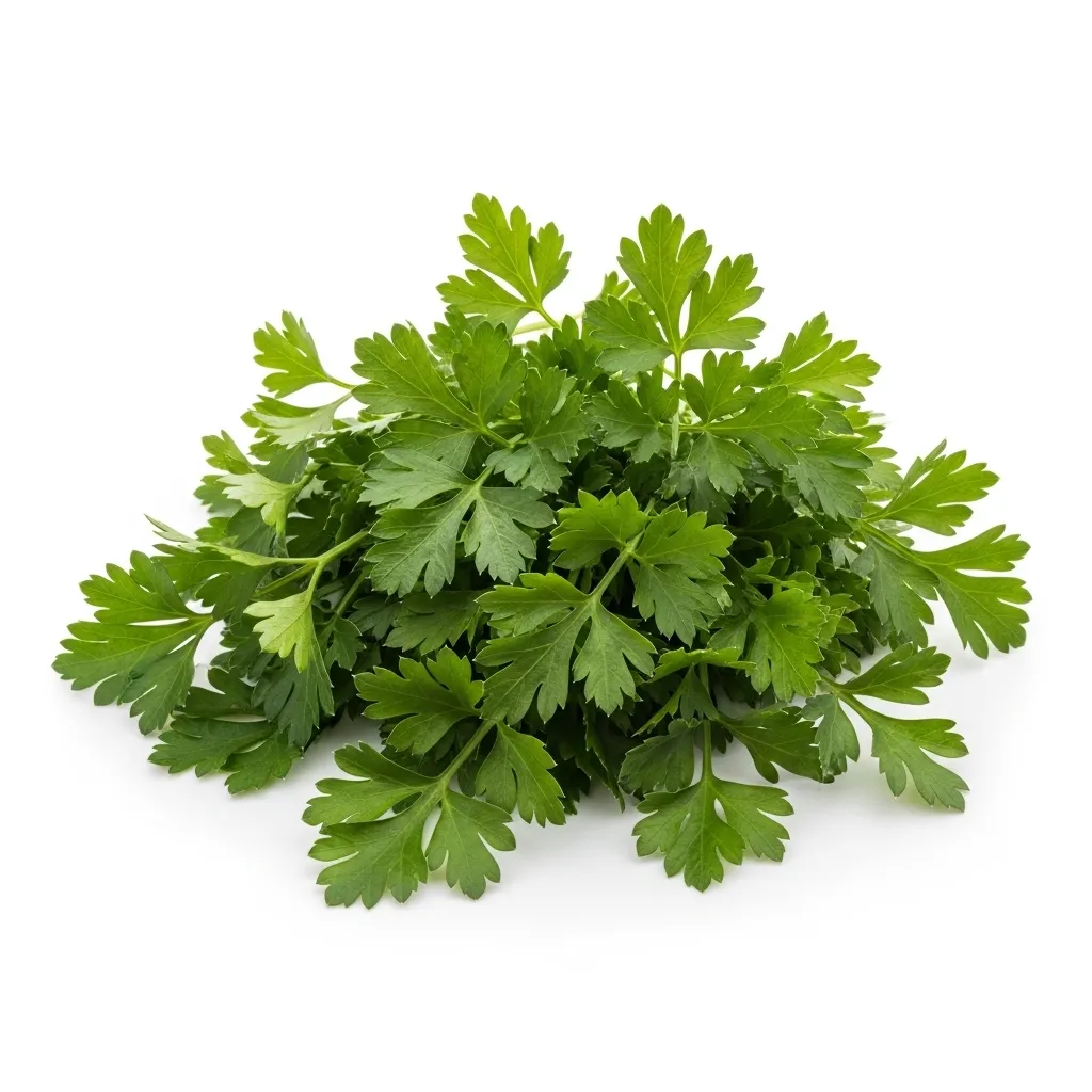 Parsley 🇦🇪