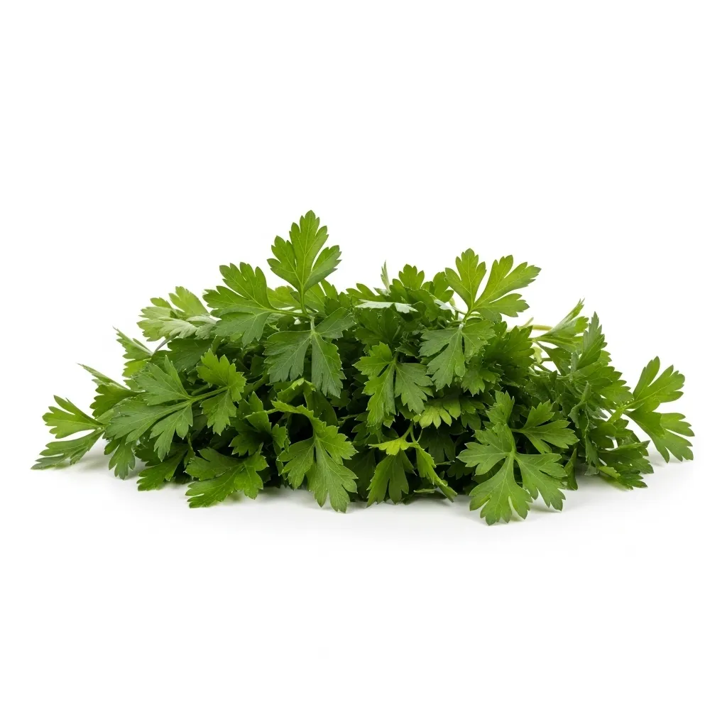 French Parsley 🇳🇱