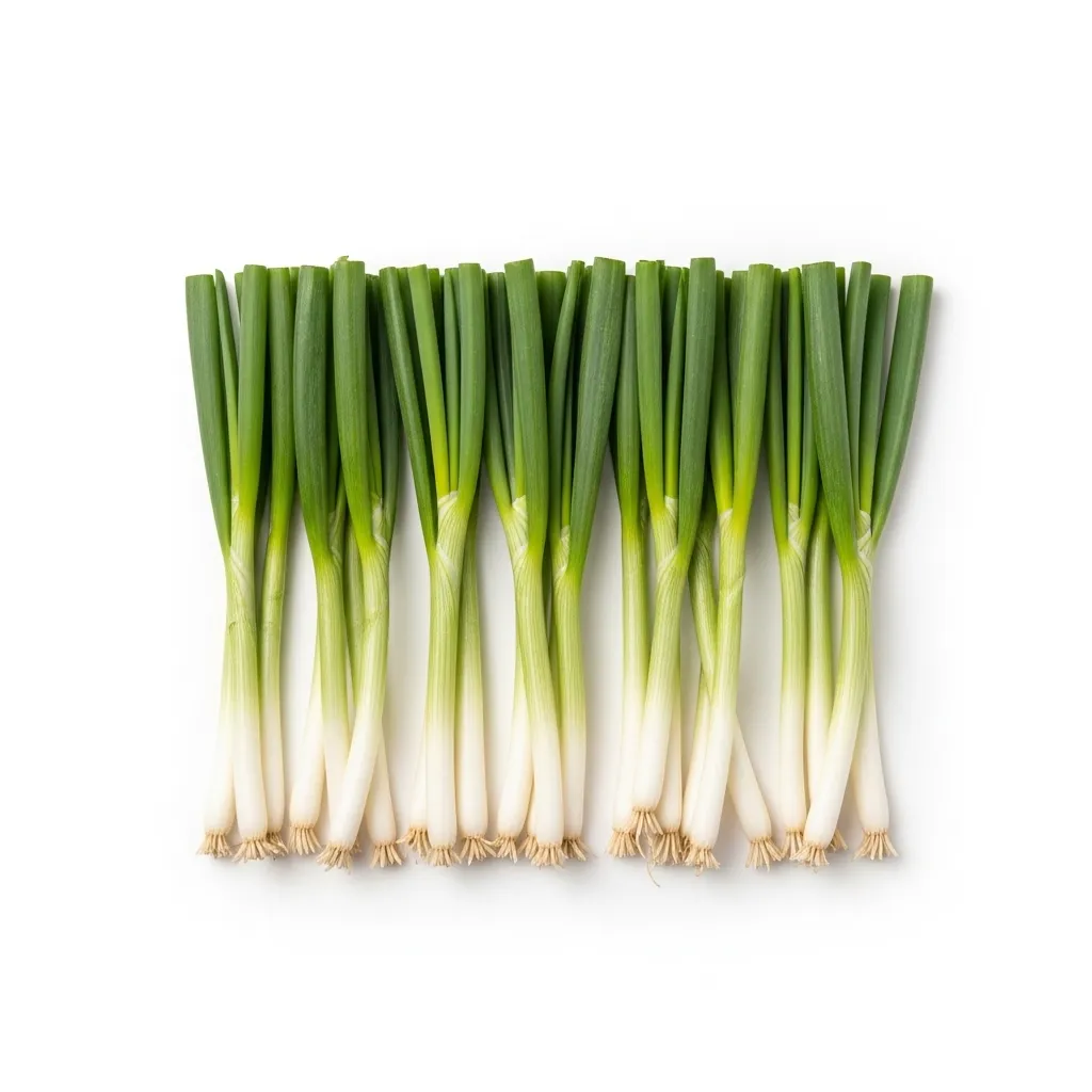 Spring Onion 🇦🇪