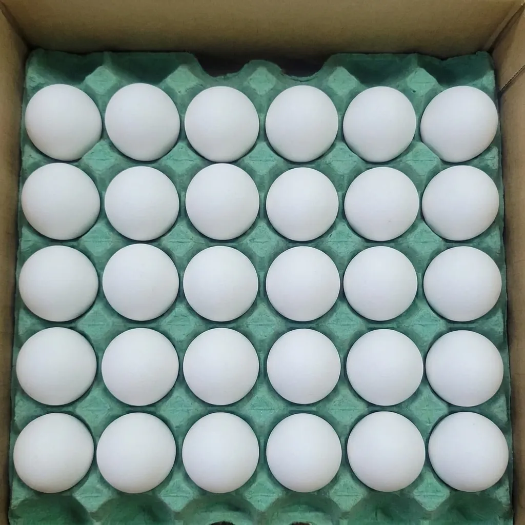 White Eggs (Tray) 🇵🇰
