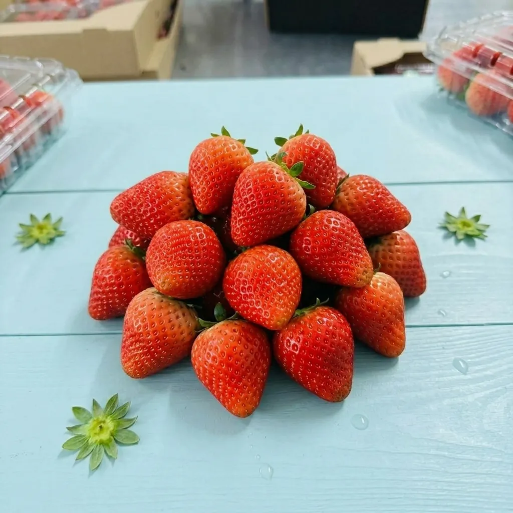 Strawberry (250g Pack) 🇿🇦