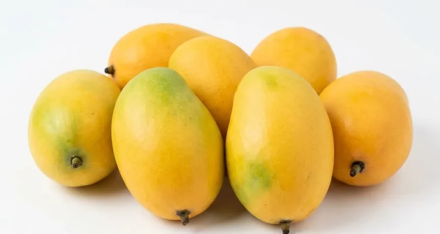 Experience an absolute explosion of flavor with premium Pakistani Anwar Ratol Mangoes, available fresh by the kilogram. Widely celebrated as the single most aromatic mango variety in existence, these compact golden fruits deliver an intensely rich, honey-sweet pulp that is entirely fiber-free. Air-freighted directly to Dubai at absolute peak ripeness, they provide a luxurious treat for true fruit connoisseurs. Order today for rapid, temperature-controlled home delivery straight to your kitchen door.