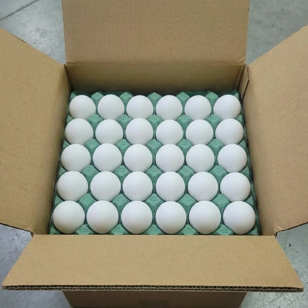 White Eggs (Box) 🇵🇰