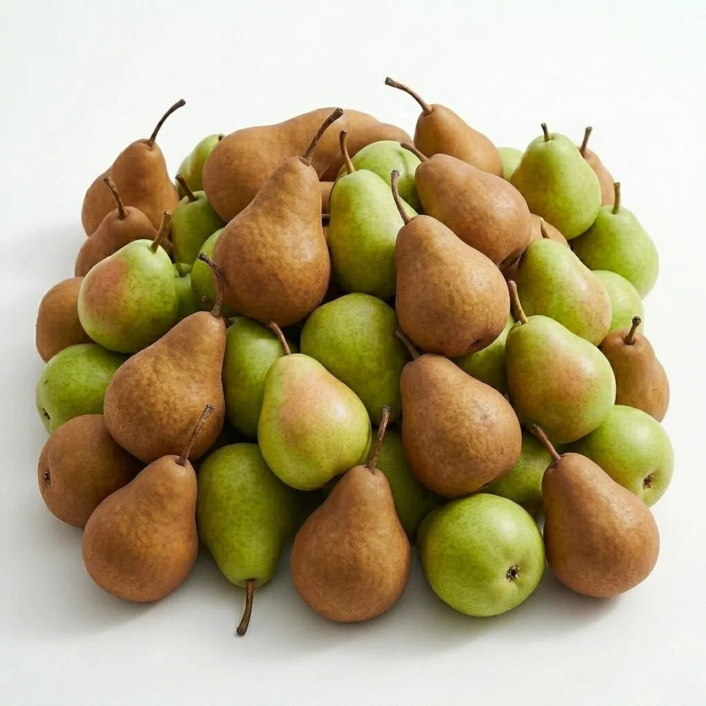 Pear (KG) 🇺🇸